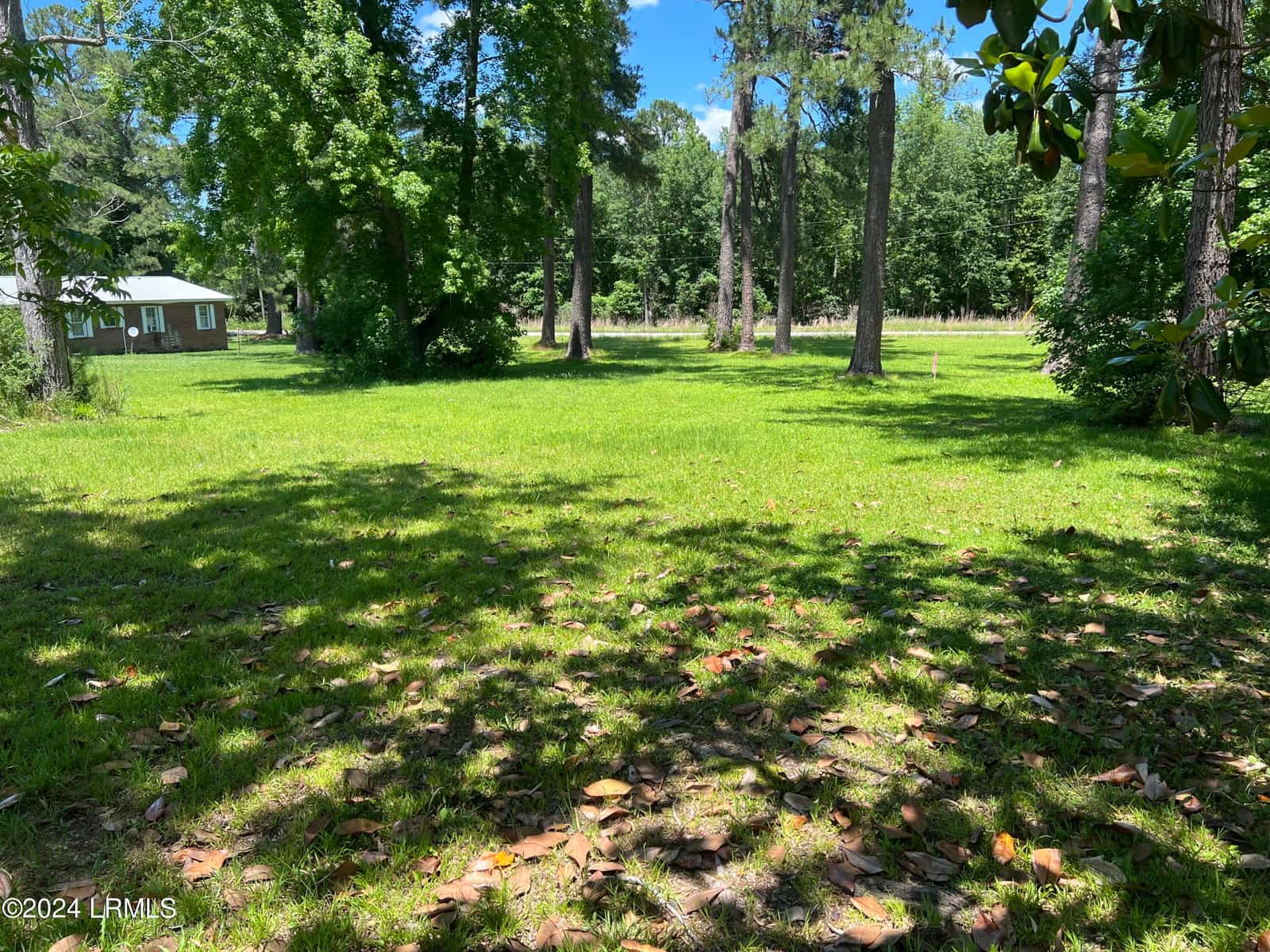 Tbd Elm Street E, Hampton, SC 29924 — listing photo