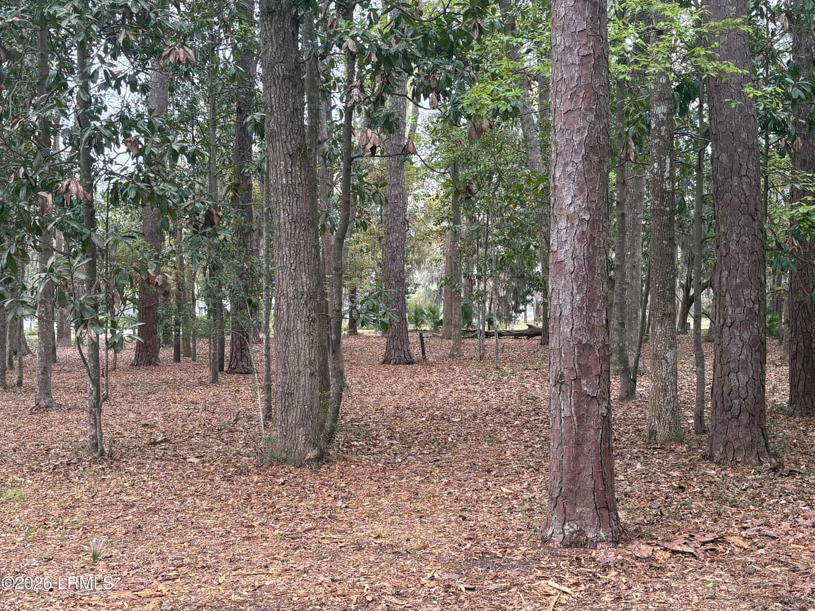 417 Battery Chase, Beaufort, SC 29902 — listing photo