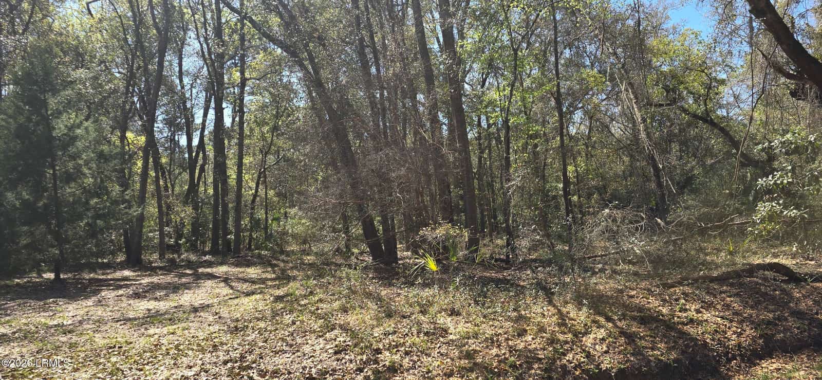 50 Toomer Road, St. Helena Island, SC 29920 — listing photo