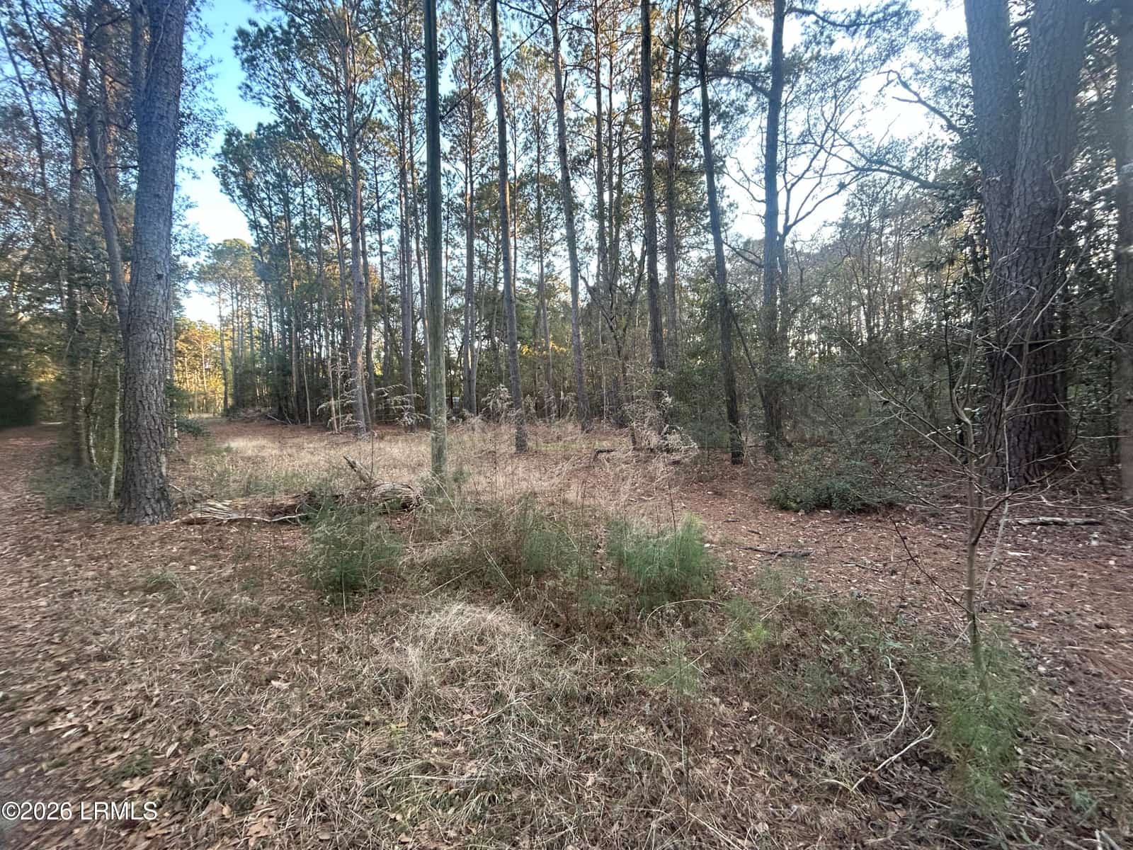 Tbd Harris Lane, St. Helena Island, SC 29920 — listing photo