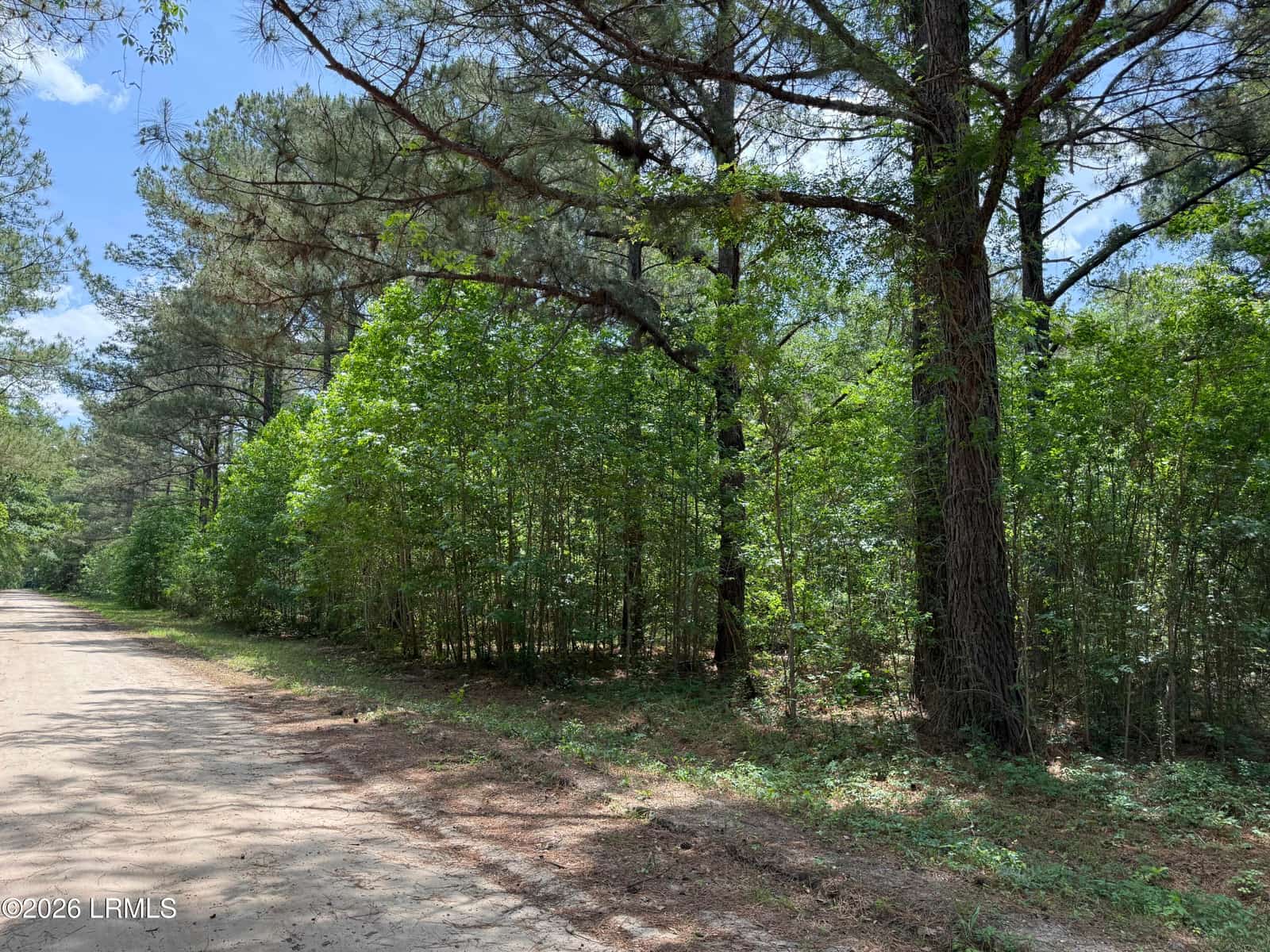 12 Rubie Lane, Yemassee, SC 29945 — listing photo