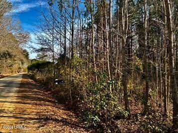 278 Sylvester Road, Varnville, SC 29944 — listing photo
