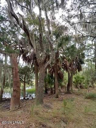 8 Governor Blake Drive, Beaufort, SC 29907 — listing photo
