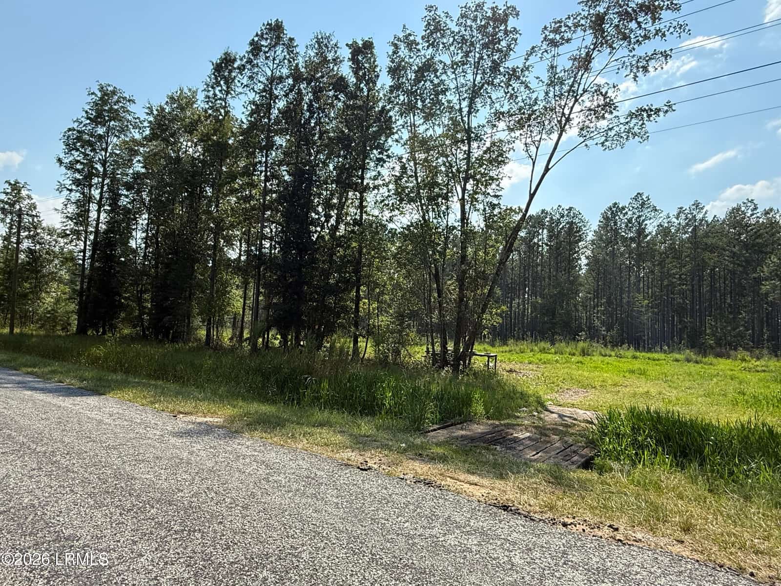 Tbd Cohen Road, Pineland, SC 29934 — listing photo