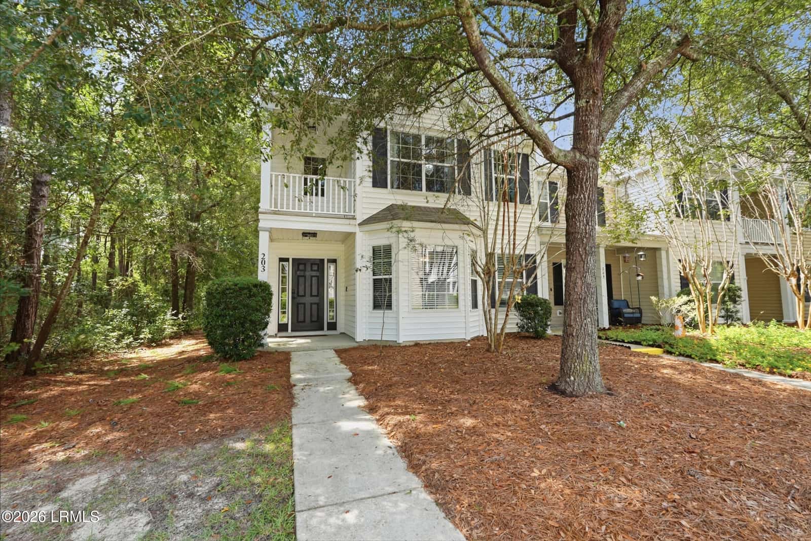 203 Dillard Mill Drive, Bluffton, SC 29909 — listing photo