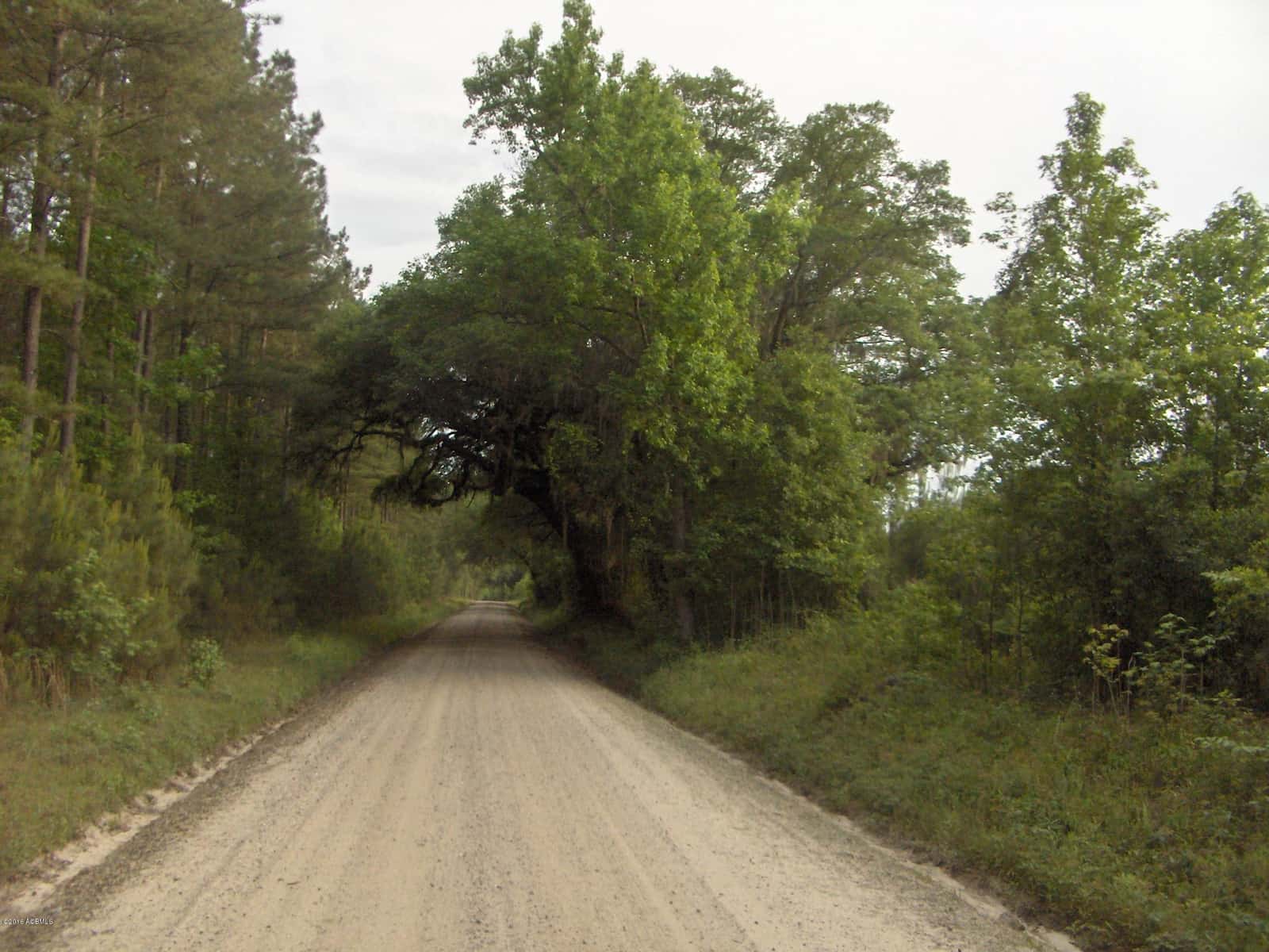 0000 Jasper Station Road, Ridgeland, SC 29936 — photo 2 of 9