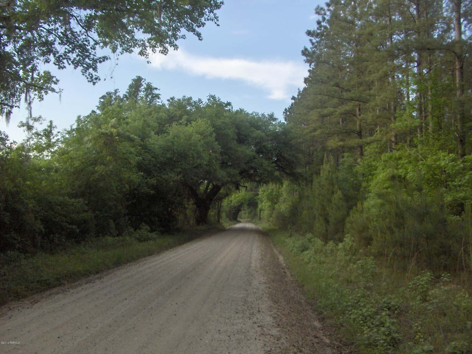 0000 Jasper Station Road, Ridgeland, SC 29936 — photo 4 of 9