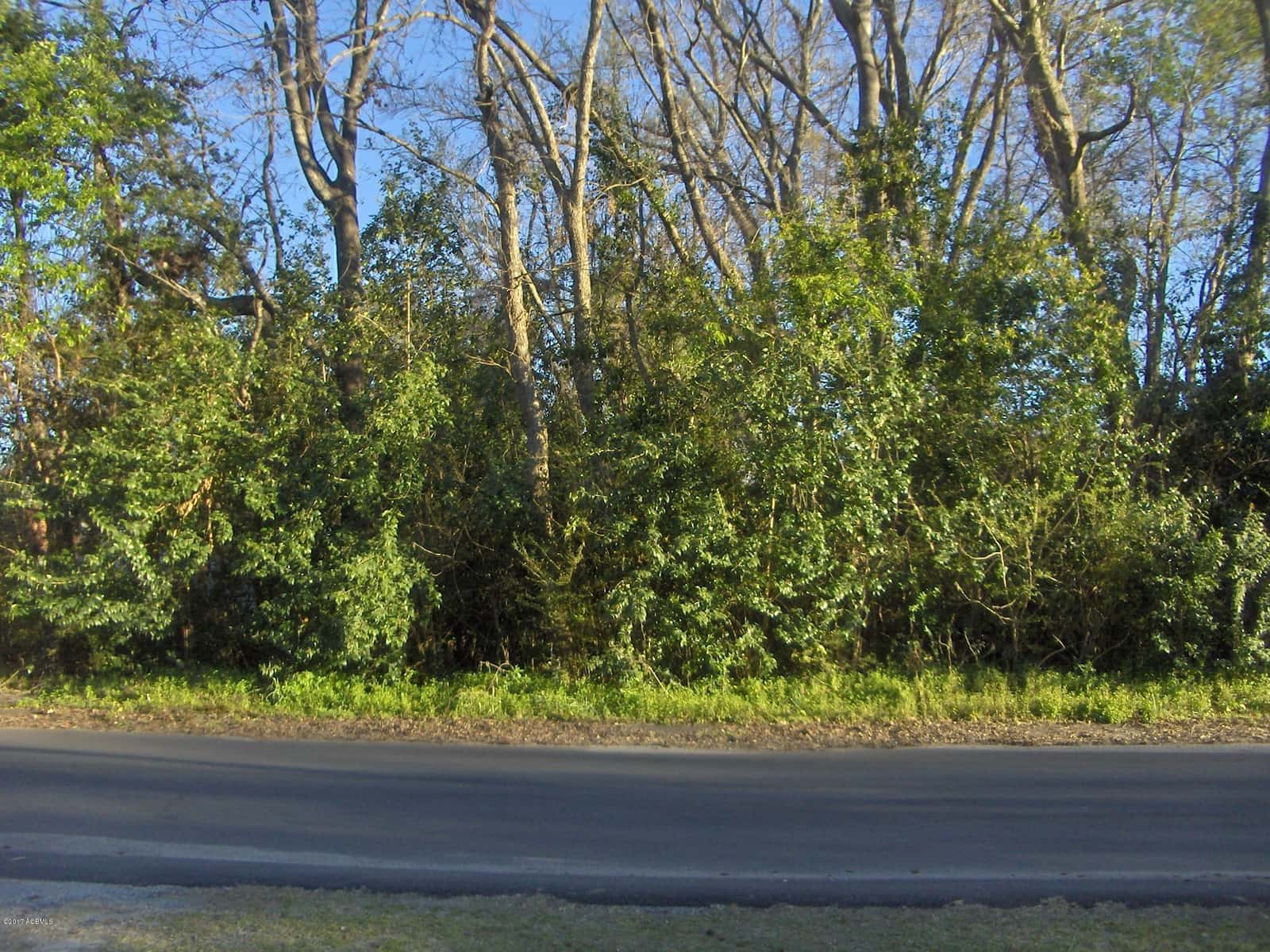 000 Georgia Avenue, Barnwell, SC 29812 — photo 2 of 9