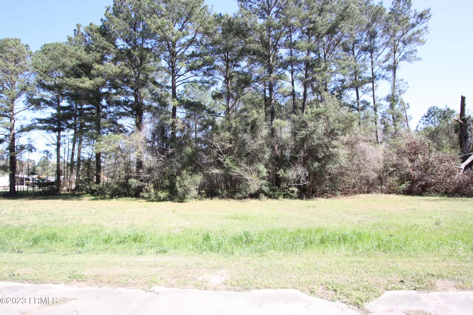 Tbd Columbia Highway 321 Highway S, Estill, SC 29918 — photo 2 of 7