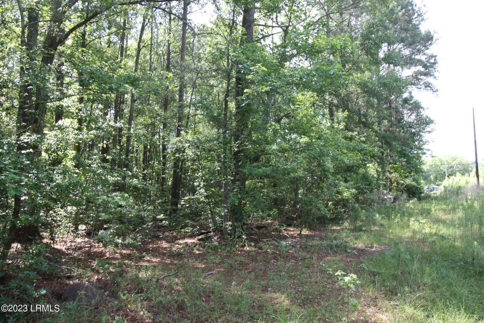 60 Wadley Street, Furman, SC 29921 — photo 4 of 8