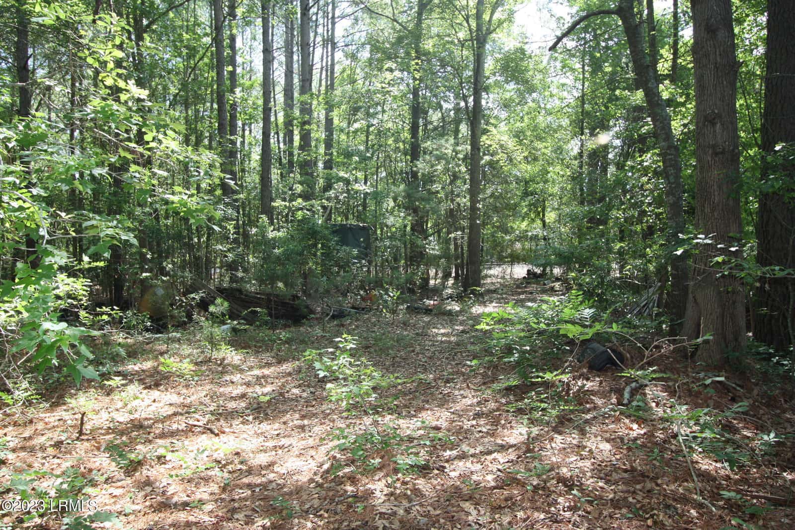 60 Wadley Street, Furman, SC 29921 — photo 5 of 8