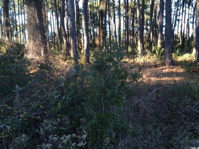 1453 Gleasons Landing Drive, St. Helena Island, SC 29920 — photo 5 of 23