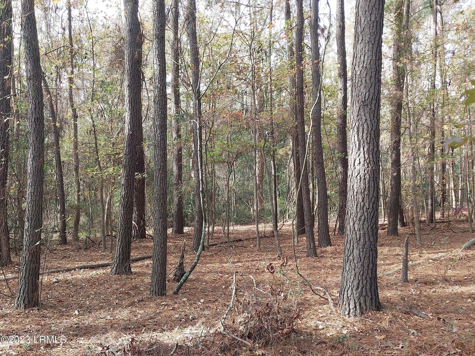 670 Robert Smalls Parkway, Beaufort, SC 29906 — photo 5 of 9