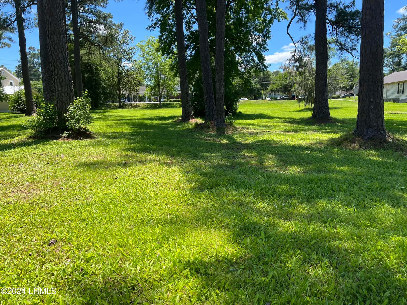 Tbd Elm Street E, Hampton, SC 29924 — photo 3 of 3