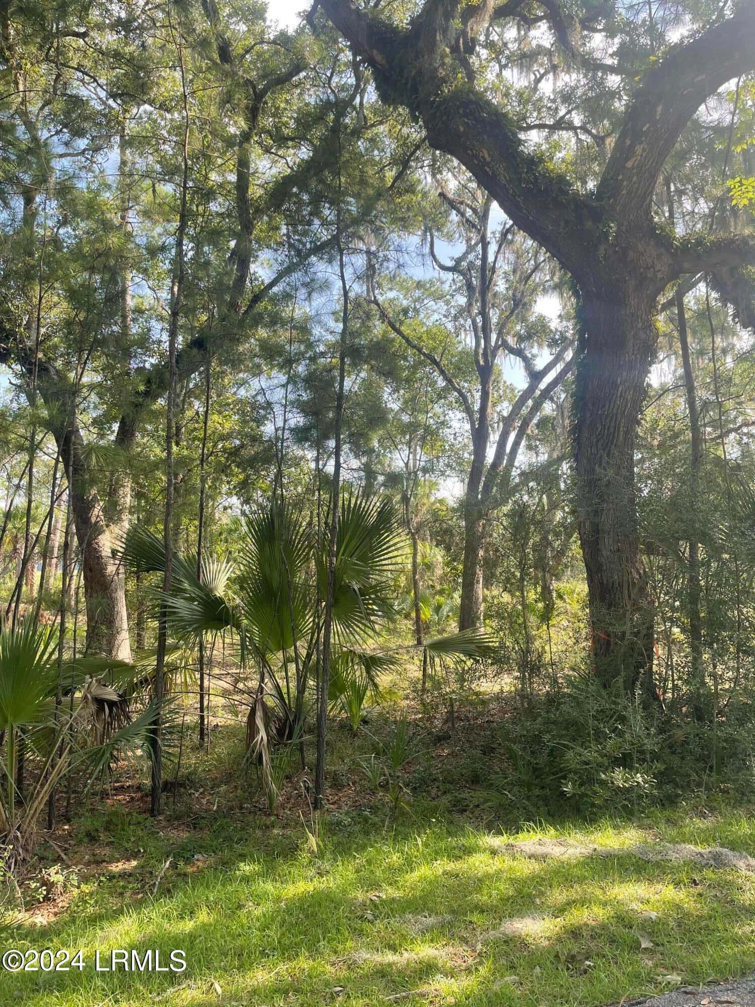 12 Woodstork Landing, Okatie, SC 29909 — photo 2 of 2