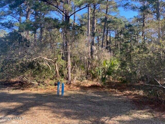 18 Net Weavers Place, St. Helena Island, SC 29920 — photo 2 of 13