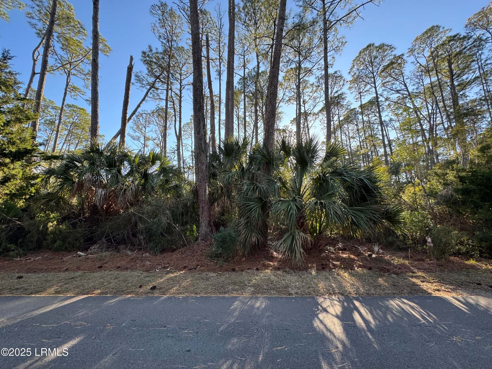 34 Lakeview Lane, Harbor Island, SC 29920 — photo 3 of 44
