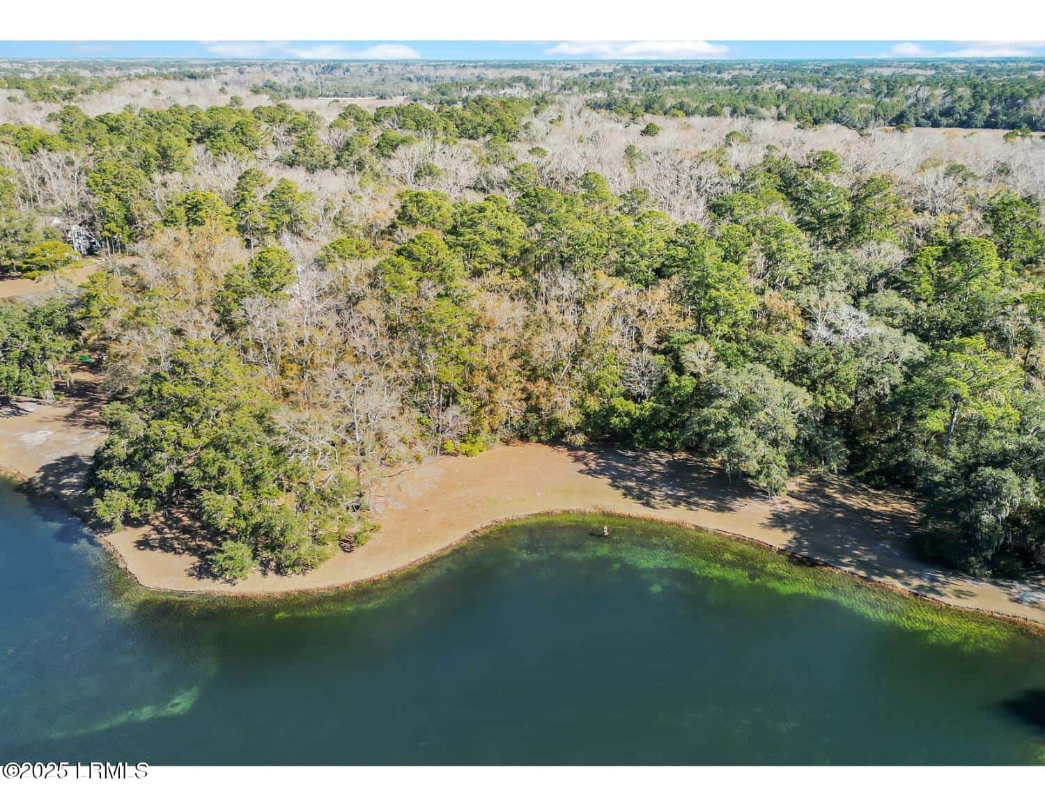 88 Tomotley Barony Drive, Seabrook, SC 29940 — photo 4 of 83