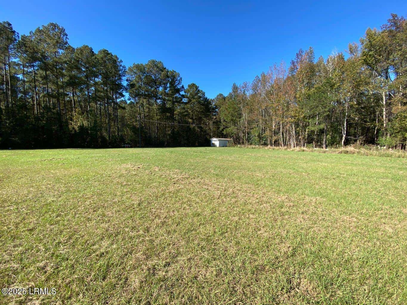 10438 Burtons Ferry Highway, Allendale, SC 29810 — photo 5 of 17