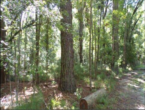 Tbd Arbor Victory, Beaufort, SC 29907 — photo 3 of 5