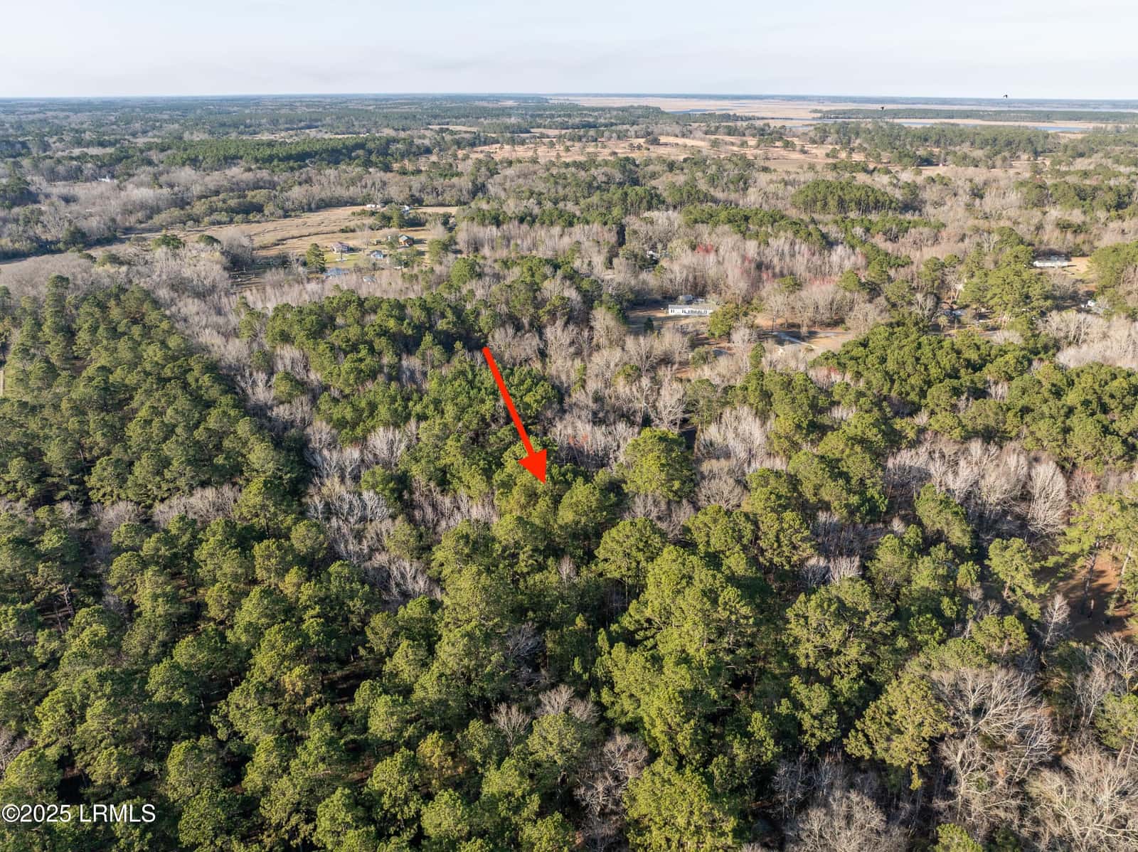 26 Swamprose Lane, Seabrook, SC 29940 — photo 3 of 13
