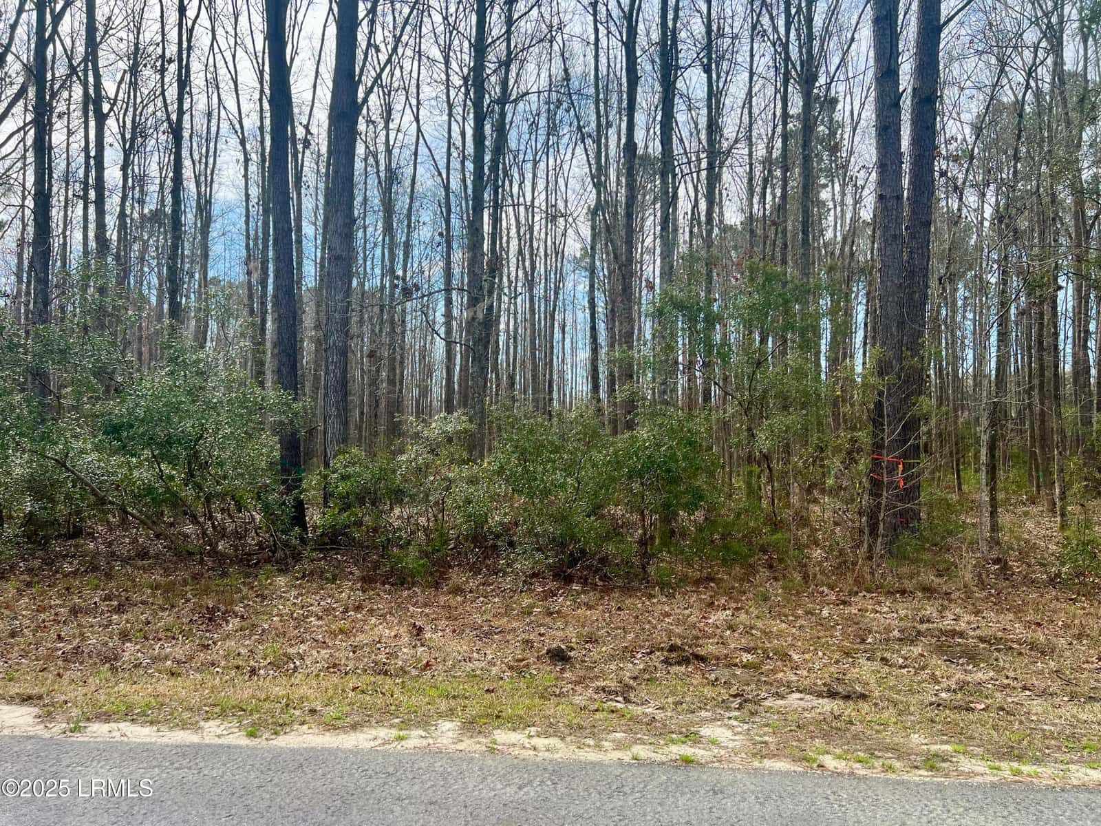 112 Founders Oak Way, Yemassee, SC 29945 — photo 3 of 13
