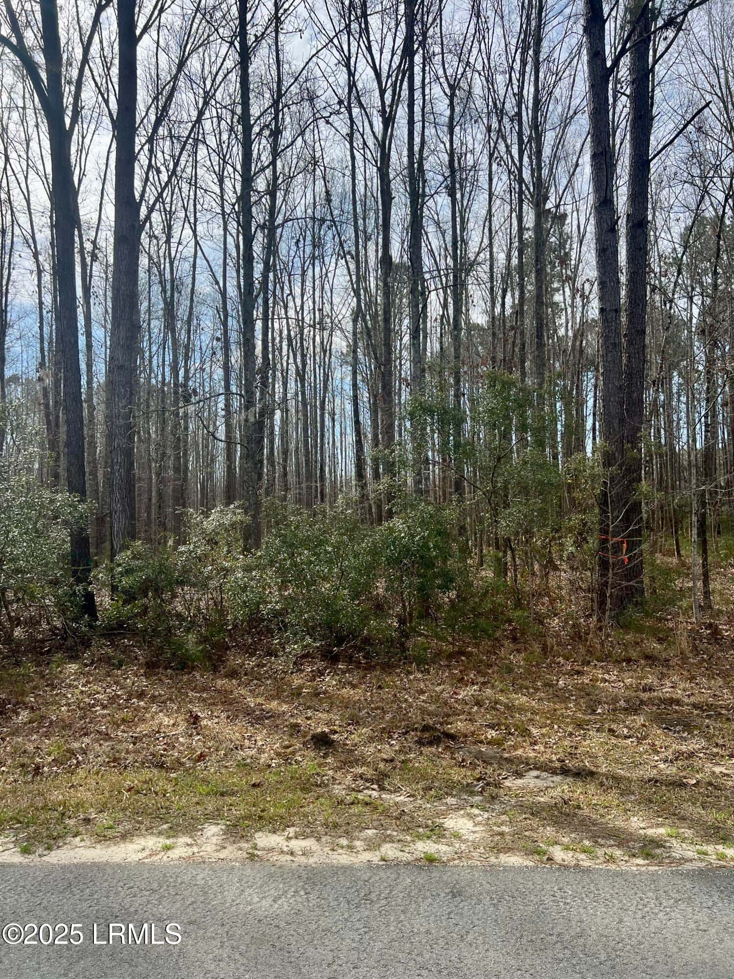 112 Founders Oak Way, Yemassee, SC 29945 — photo 4 of 13