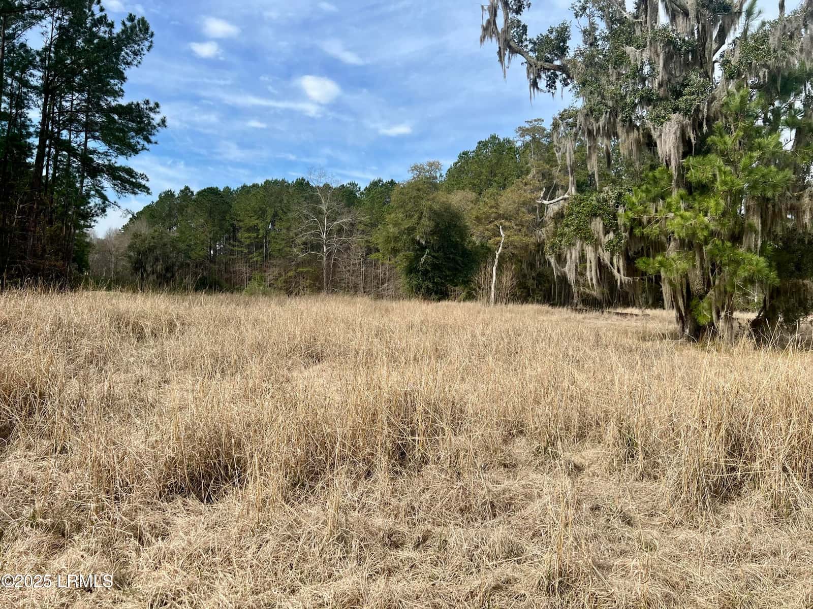 413 Somerset Drive, Yemassee, SC 29945 — photo 4 of 17