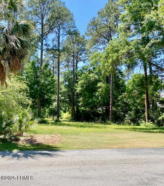 185 Distant Island Drive, Beaufort, SC 29907 — photo 2 of 25