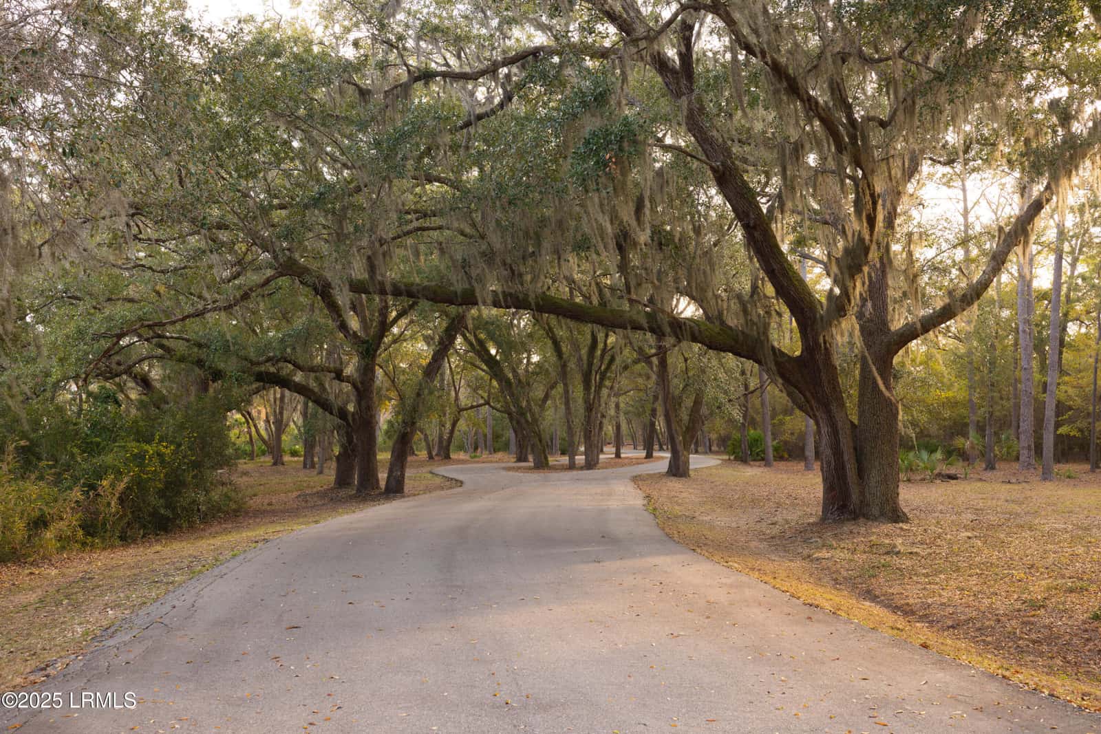 16 Vista Boulevard W, St. Helena Island, SC 29920 — photo 4 of 22