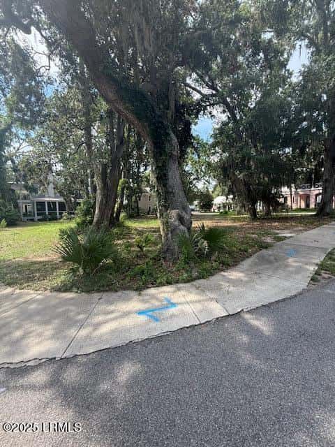 16 W Haven, Beaufort, SC 29906 — photo 3 of 24