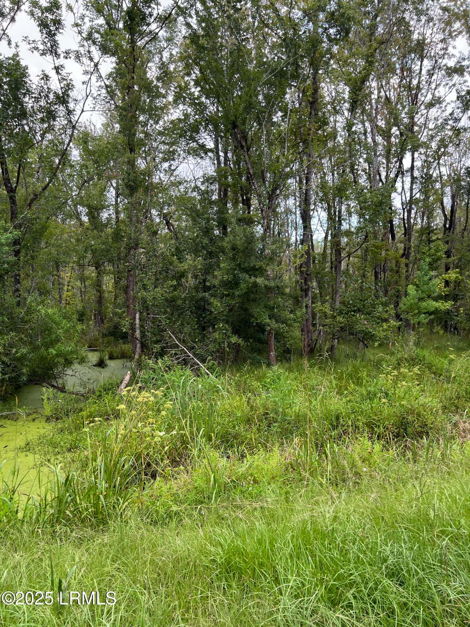 69 Jacob White Road, Yemassee, SC 29945 — photo 4 of 8