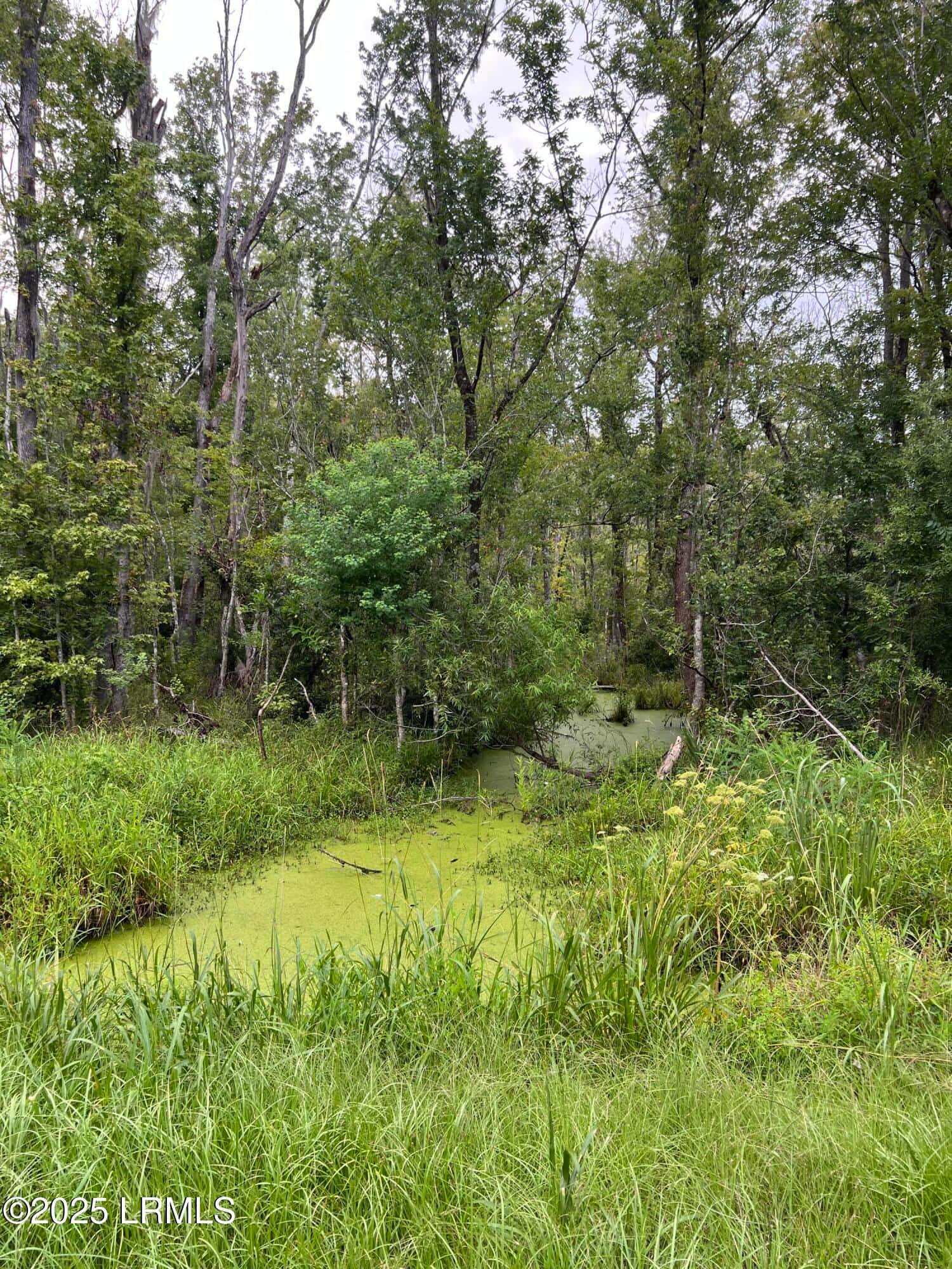 69 Jacob White Road, Yemassee, SC 29945 — photo 5 of 8