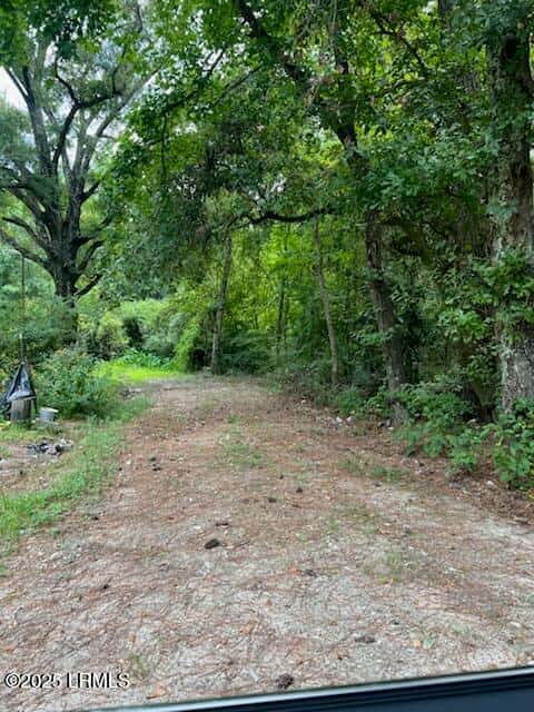 Tbd Ritter, Walterboro, SC 29488 — photo 2 of 3