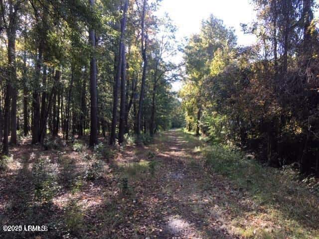 Tbd Goethe Hill Road, Beaufort, SC 29906 — photo 2 of 11