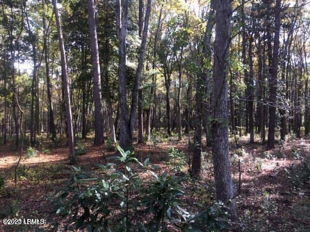 Tbd Goethe Hill Road, Beaufort, SC 29906 — photo 5 of 11