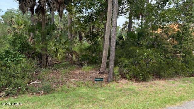 5 Woodstork Watch, Okatie, SC 29909 — photo 3 of 4