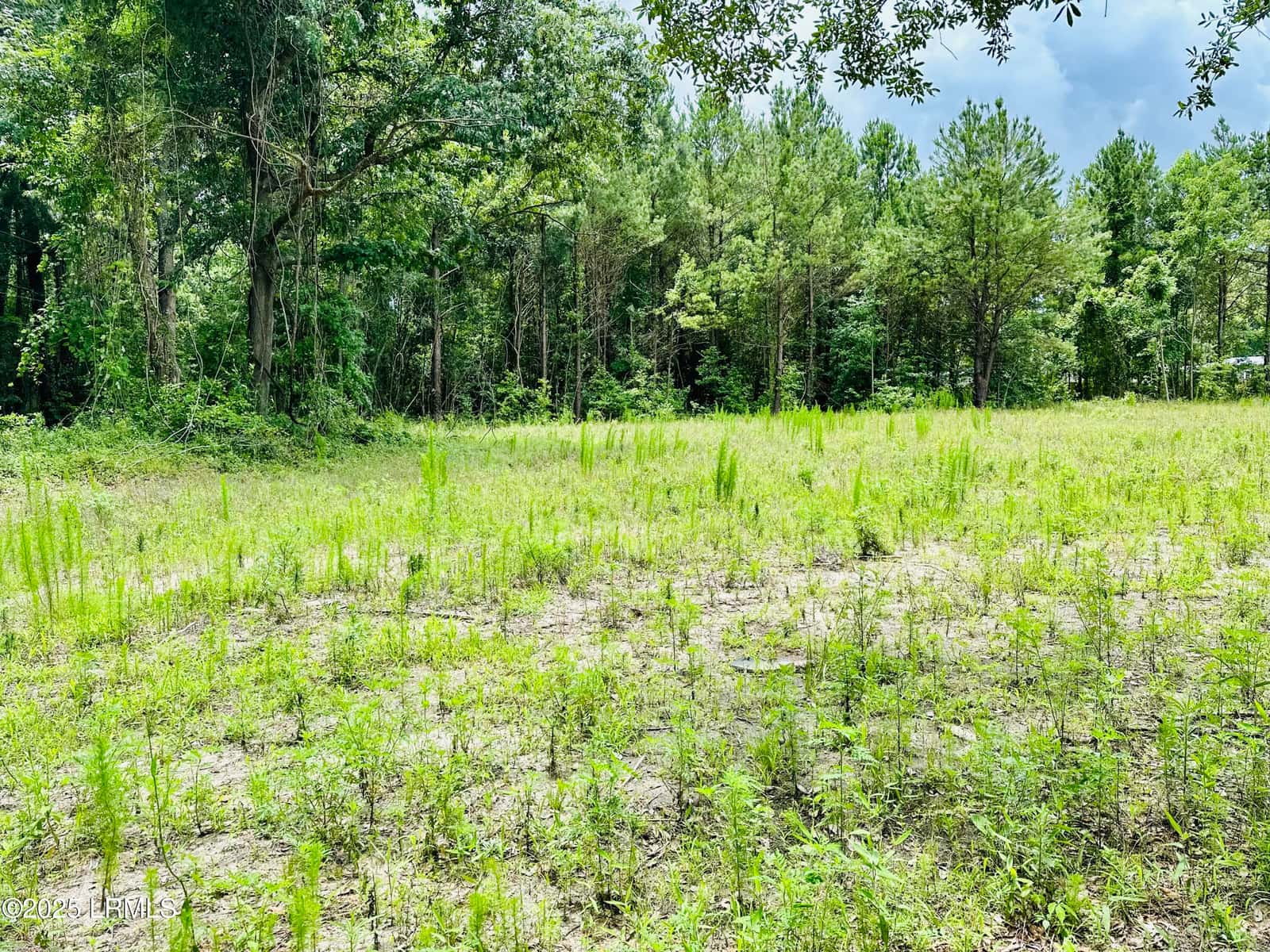 59 Seabrook Center Road, Seabrook, SC 29940 — photo 2 of 3