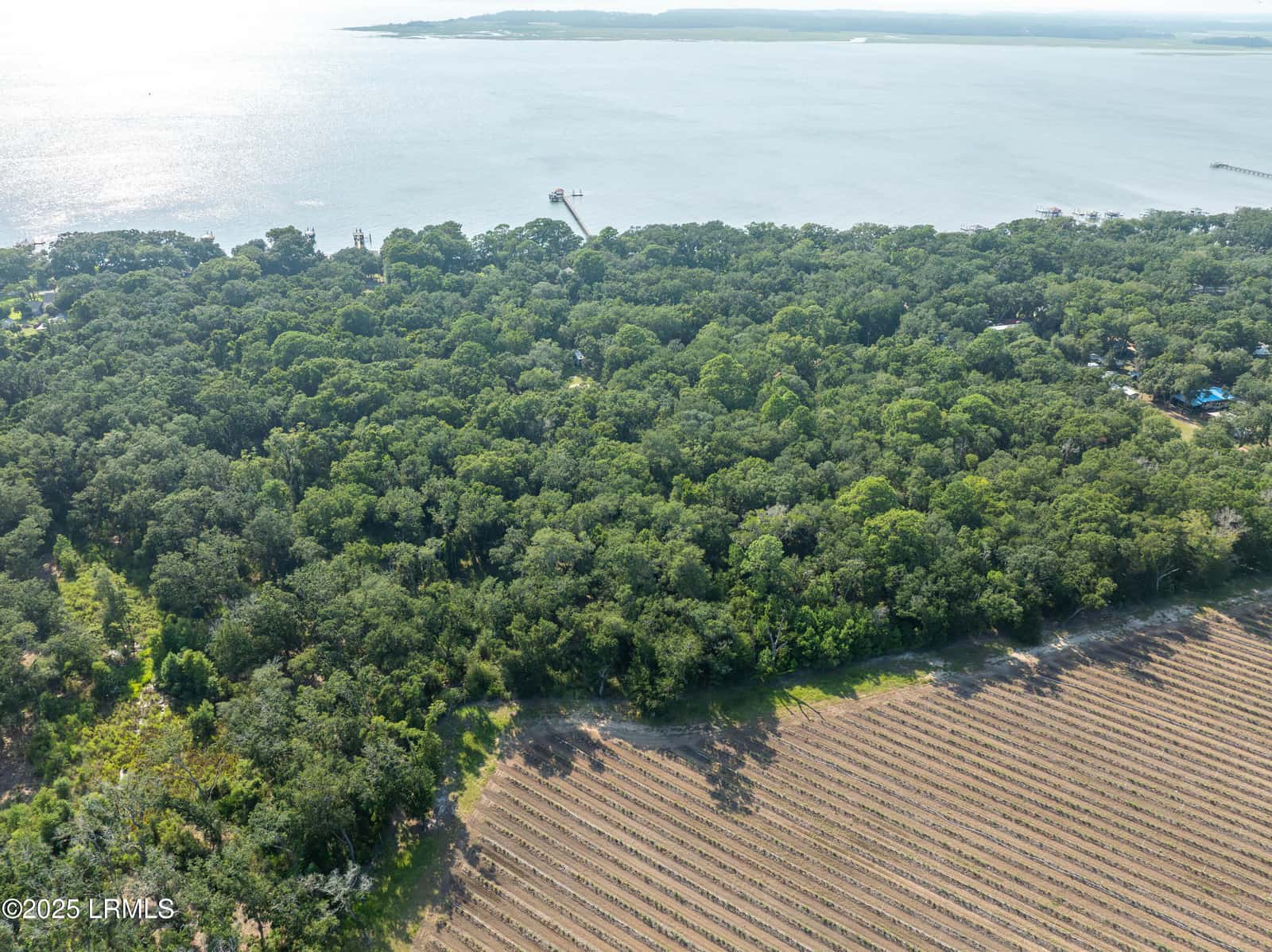 Tbd Estrolita Street, St. Helena Island, SC 29920 — photo 4 of 23