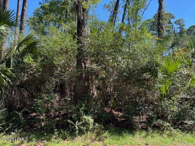 21 Lakeview Lane, Harbor Island, SC 29920 — photo 3 of 18
