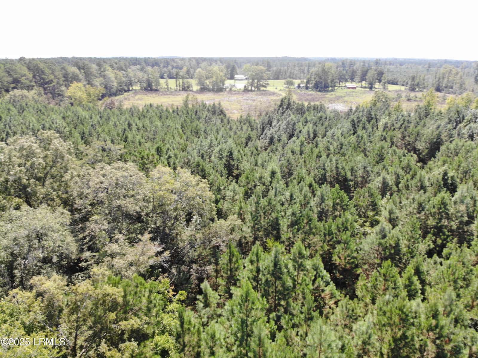 Tbd Old Buckhead Road, Bamberg, SC 29003 — photo 5 of 22