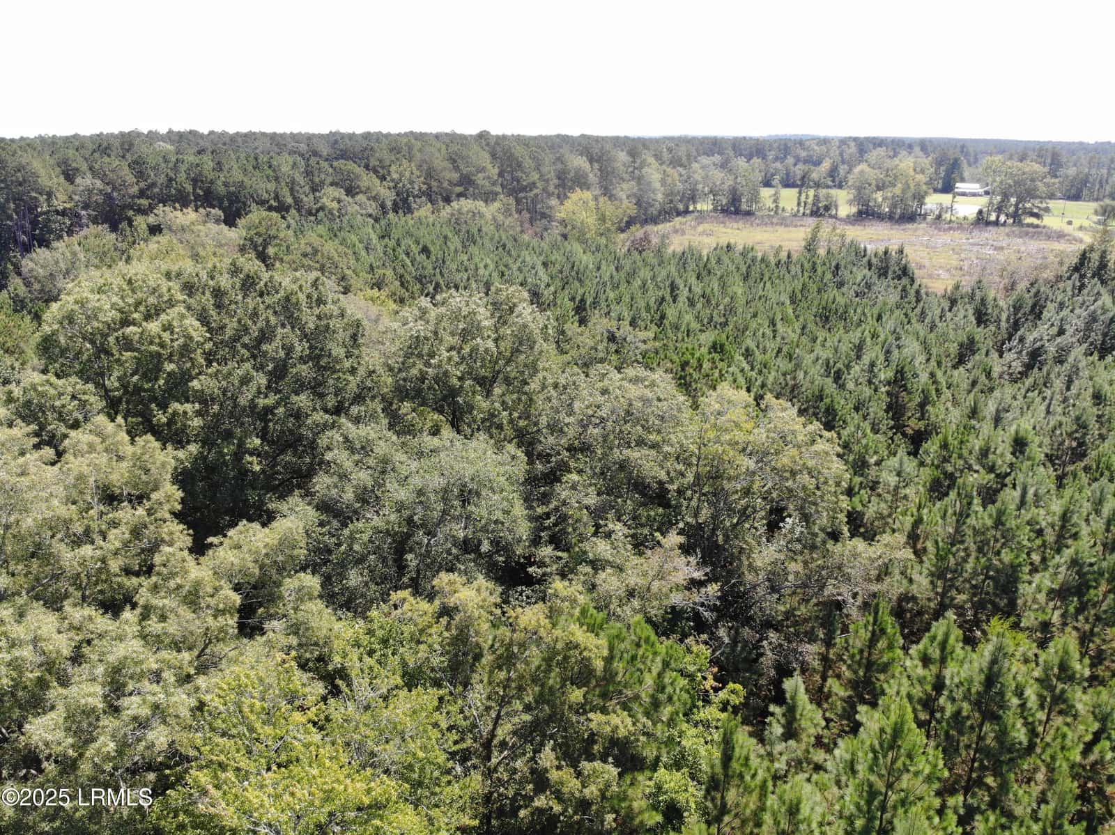 Tbd Old Buckhead Road, Bamberg, SC 29003 — photo 4 of 22