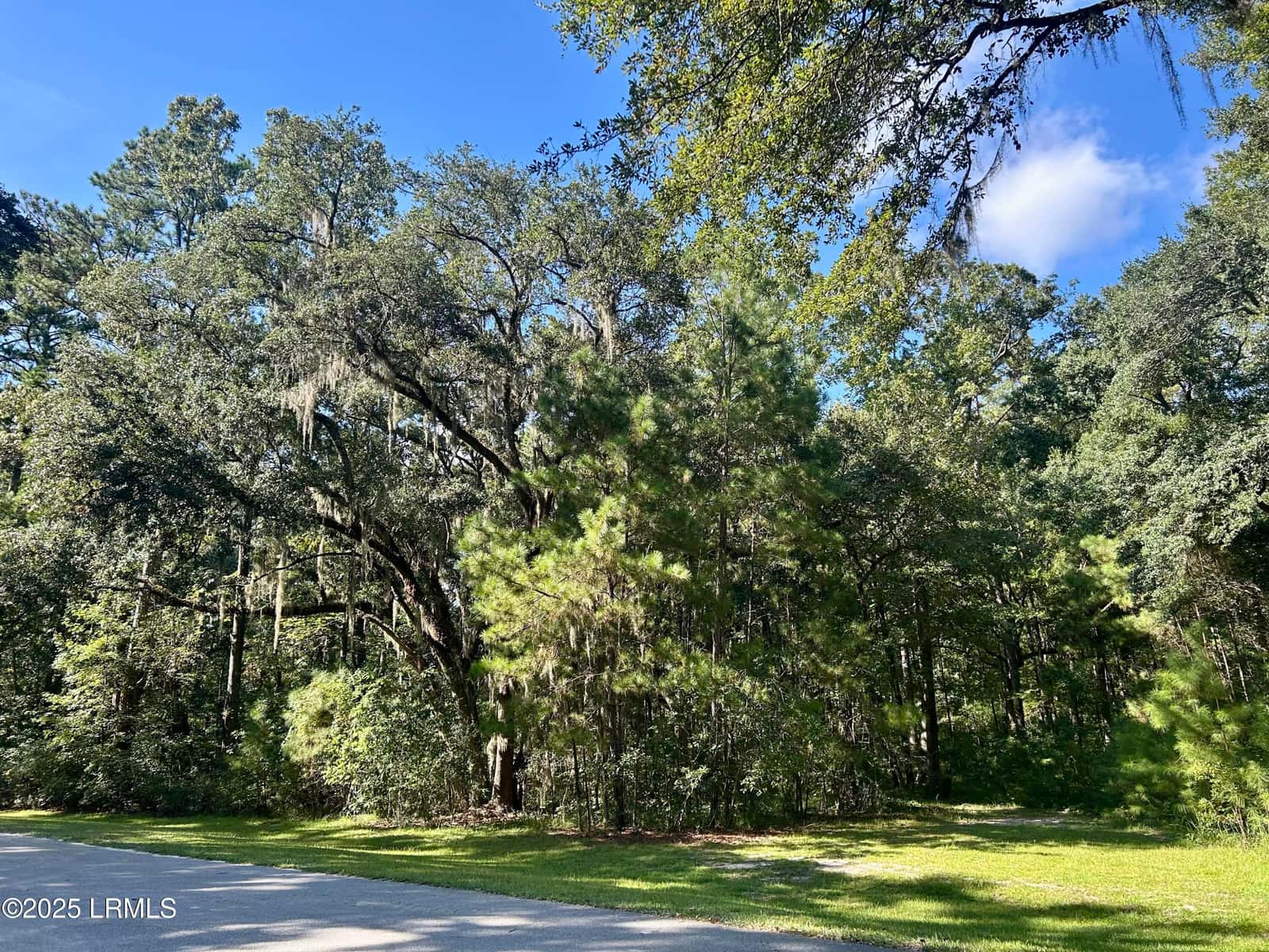 7 Blake Lane, Seabrook, SC 29940 — photo 2 of 16