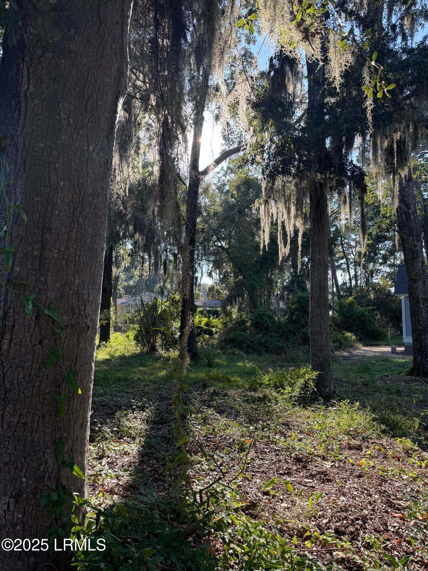 2214 Pigeon Point Road, Beaufort, SC 29902 — photo 3 of 11