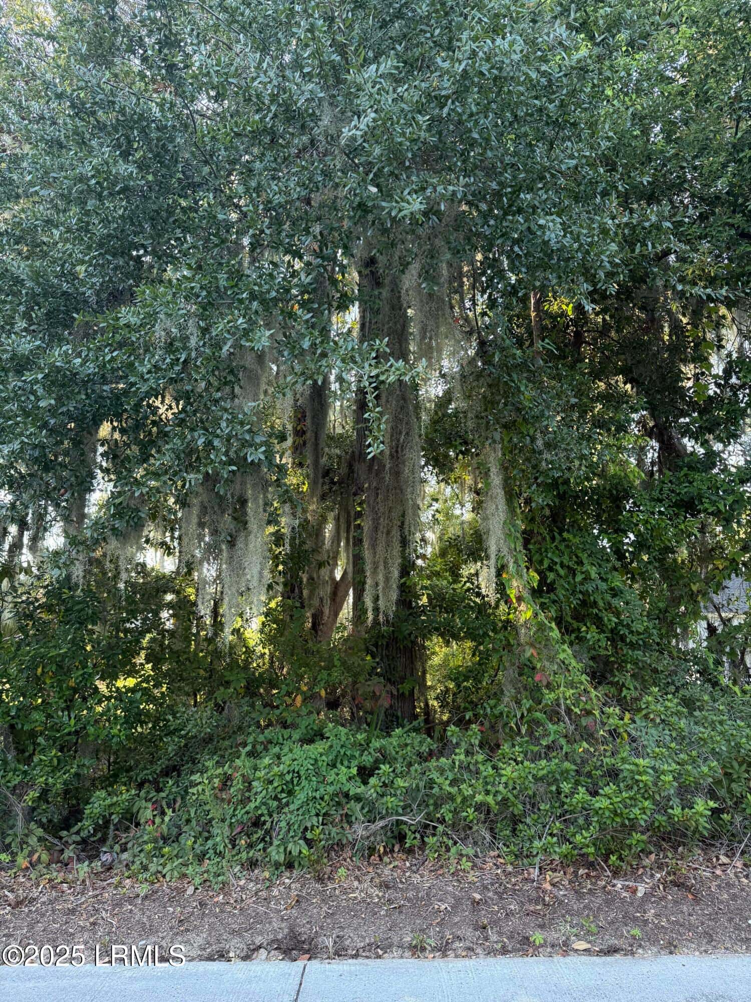 2214 Pigeon Point Road, Beaufort, SC 29902 — photo 4 of 11