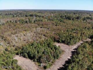 Tbd Broxton Bridge Road, Bamberg, SC 29003 — photo 3 of 9