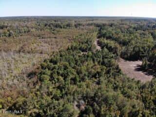 Tbd Broxton Bridge Road, Bamberg, SC 29003 — photo 2 of 9