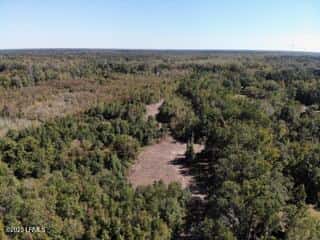 Tbd Broxton Bridge Road, Bamberg, SC 29003 — photo 4 of 9