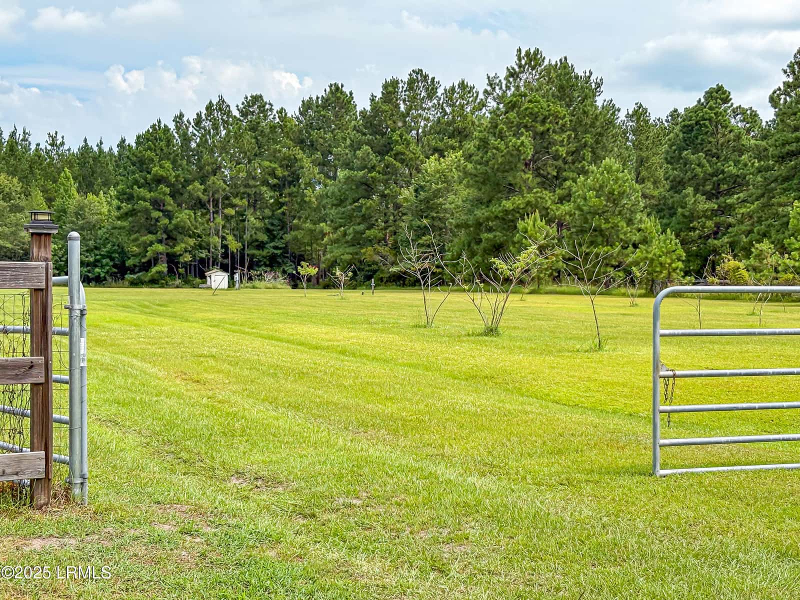 399 Pineland Estates Road, Pineland, SC 29934 — photo 2 of 20