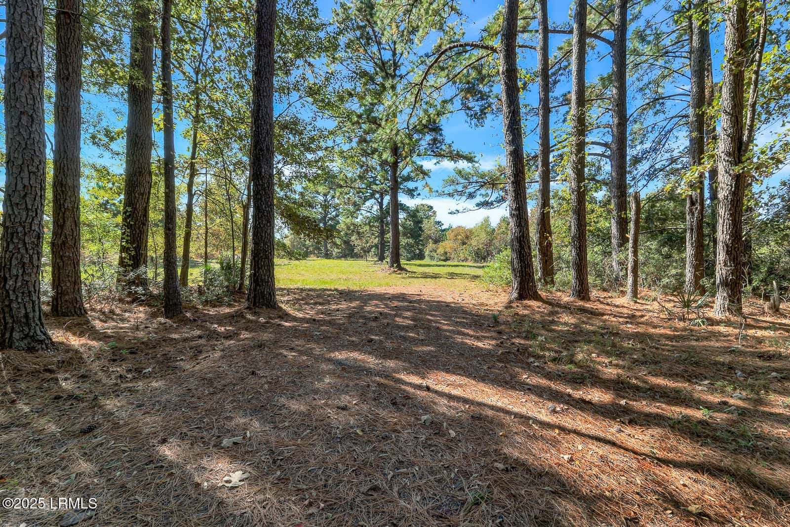 782 Strawberry Hill Road, Ridgeland, SC 29936 — photo 2 of 21